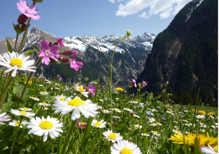 alpenlandschaft